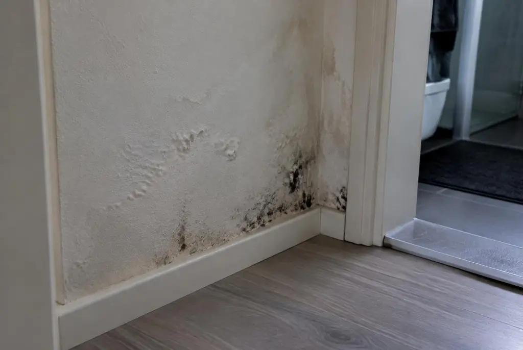 Lekdetectie Hoevelaken – vochtplek met schimmel op een muur
